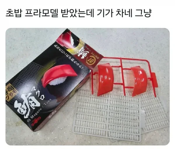 조립하기 쉽지 않을 듯한 초밥 프라모델.jpg