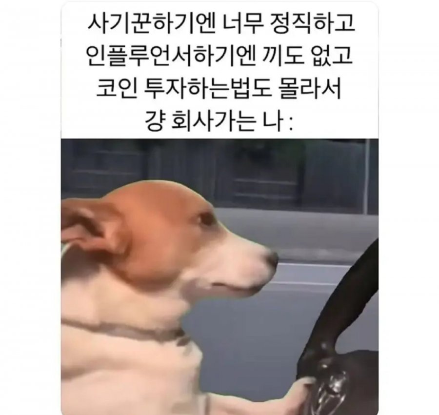 내모습같네..
