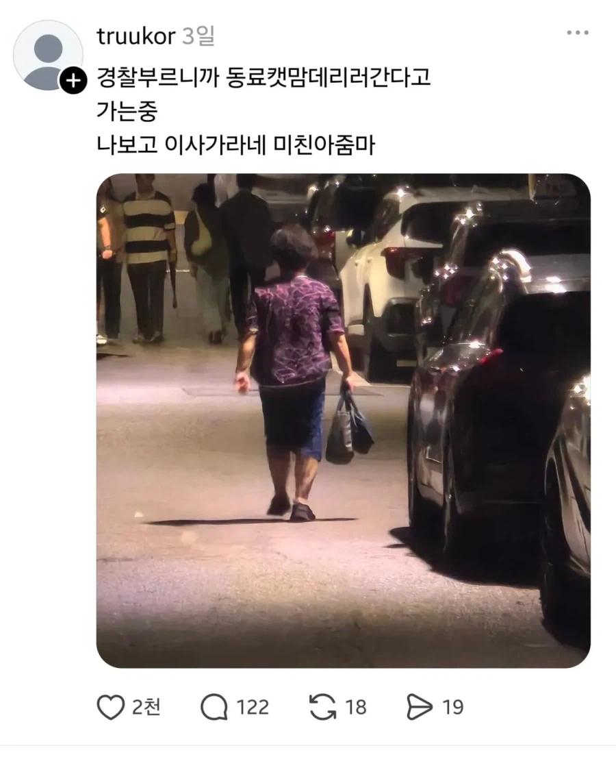 임자 제대로 만난 캣맘.jpg 3