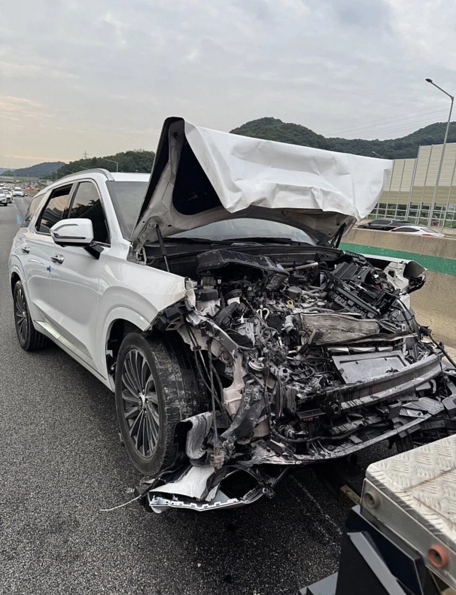 BYD VS 현대차 2