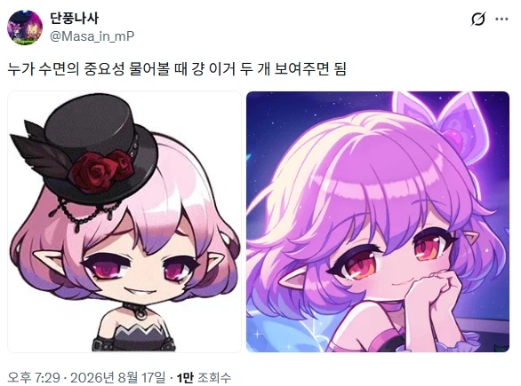 수면의 중요성을 보여주는 짤 두개