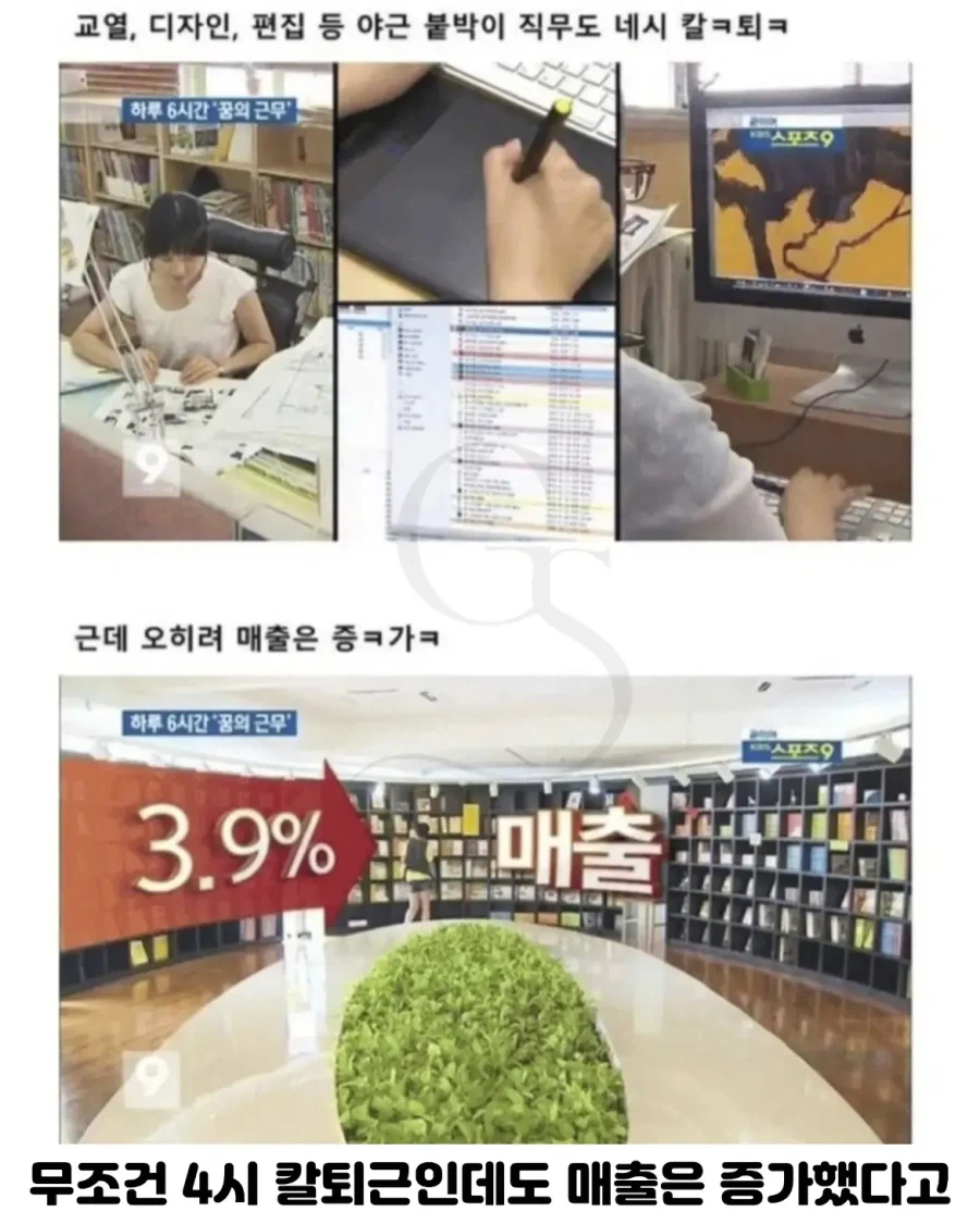 하루 6시간 근무하는 회사 4
