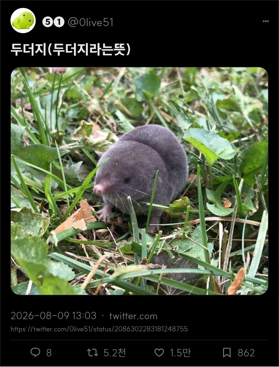 두더지(두더지라는뜻)