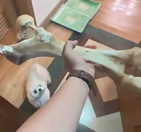 강아지에게 줄 뼈다귀를 구매하는 사람 8