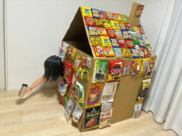 If anyone needs us, we’ll be in the cardboard Japanese snack house we just built [Photos] 2