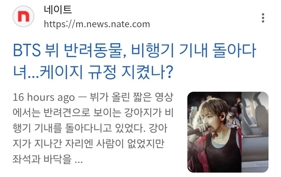 방탄 뷔 반려견 기내 돌아다녀 논란