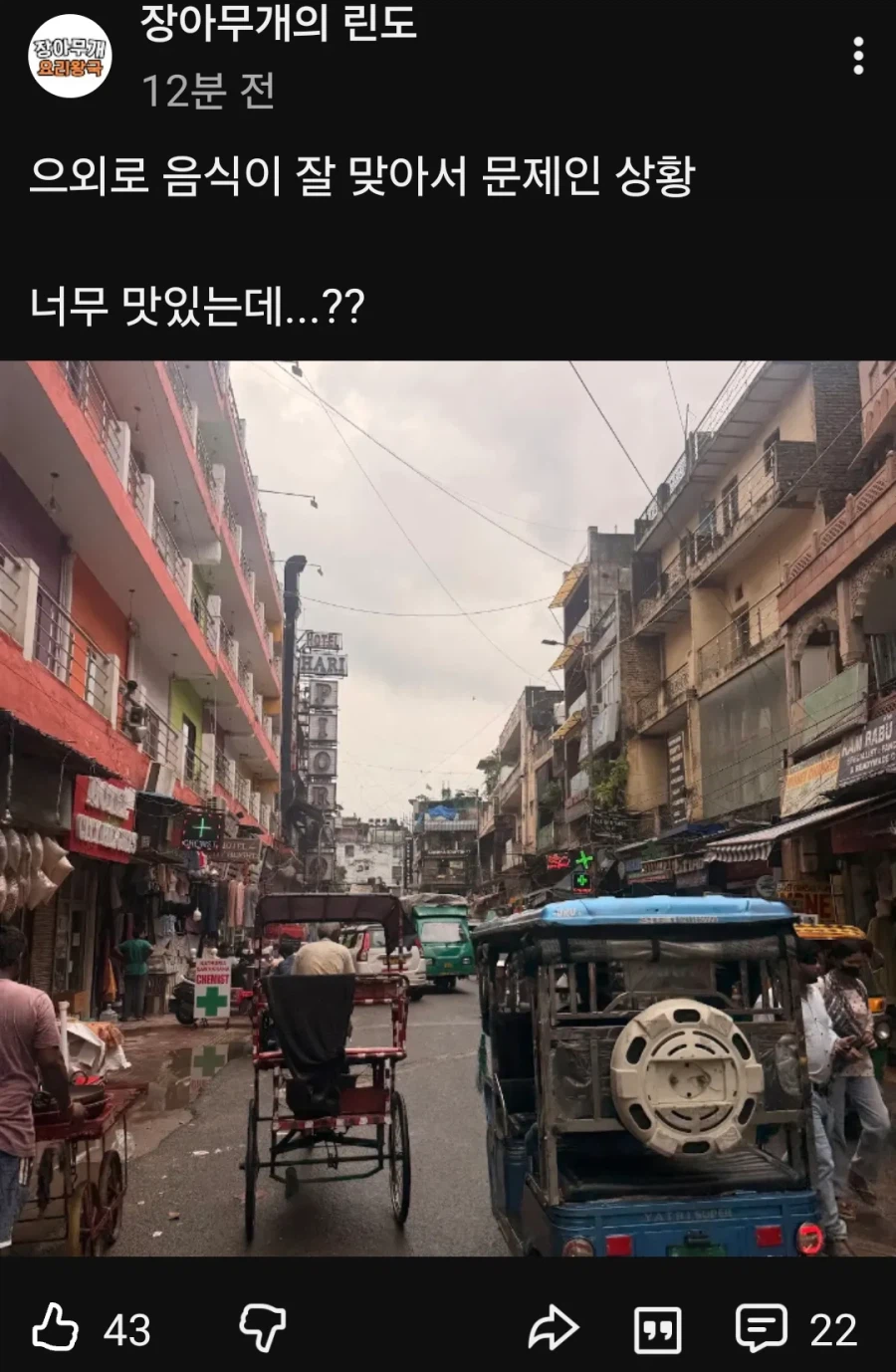 인도에 간 린도린도 채널 주인근황