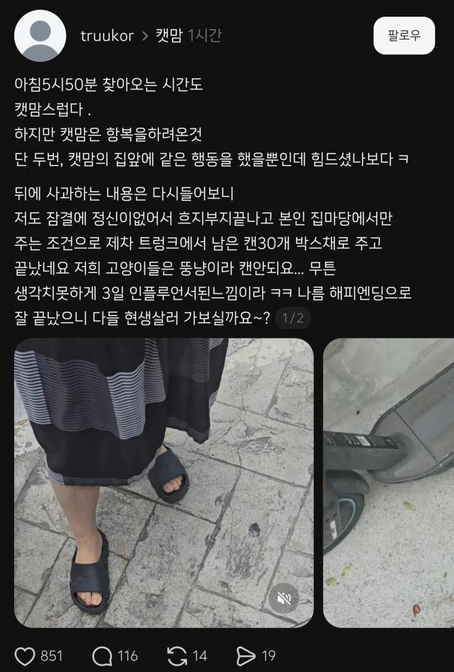 베스트 갔던 스레드 캣맘징벌자 결국 항복 받아냄
