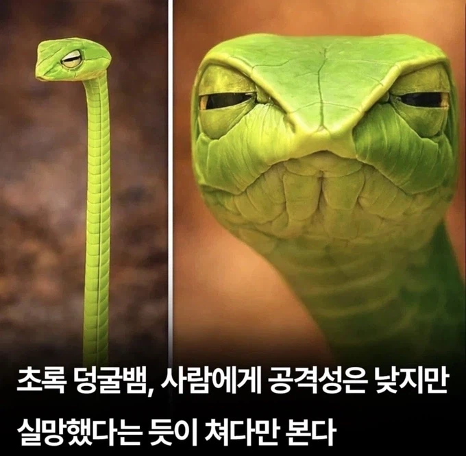 내가 다른 유게이들과 다르게 아는 척 안하는 이유 ㅋㅋㅋ