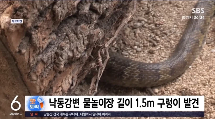 물놀이하다 "악" 에휴 또 누가 안전수칙 안지켰길래 2