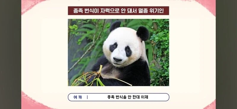 편견이 너무 없는 스트리머 2