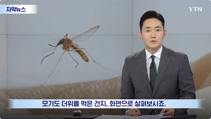모기 근황.jpg 3