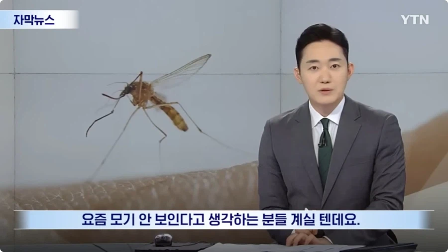 모기 근황.jpg 2