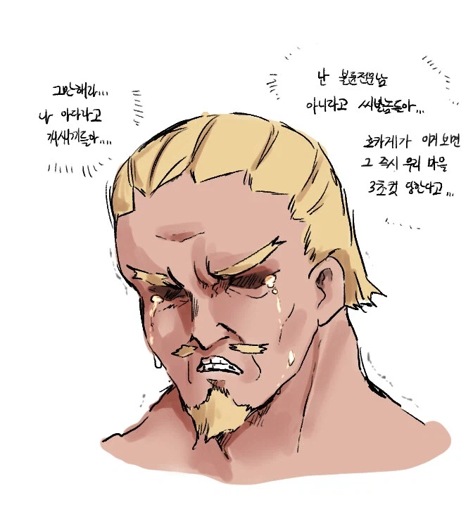 피부하나 때문에 이상한 밈이 생긴 캐릭터