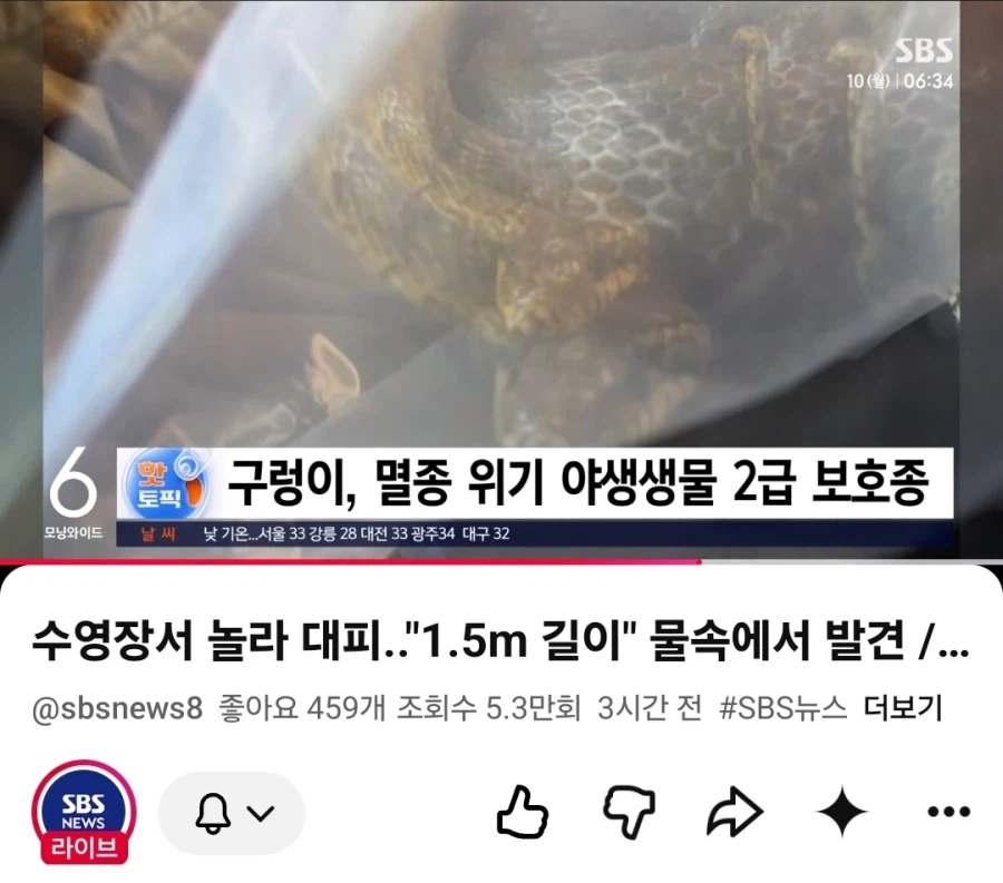물놀이하다 "악" 에휴 또 누가 안전수칙 안지켰길래 4