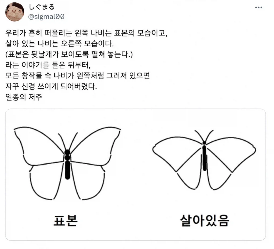 표본과 실제 모습의 차이를 알아보자