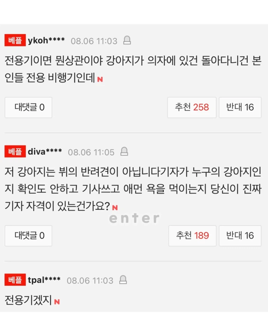 방탄 뷔 반려견 기내 돌아다녀 논란 5