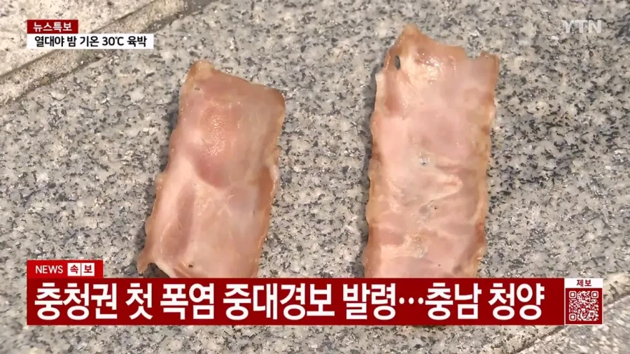 요즘 계란값이 엄청나게 비싸다는 증거 2