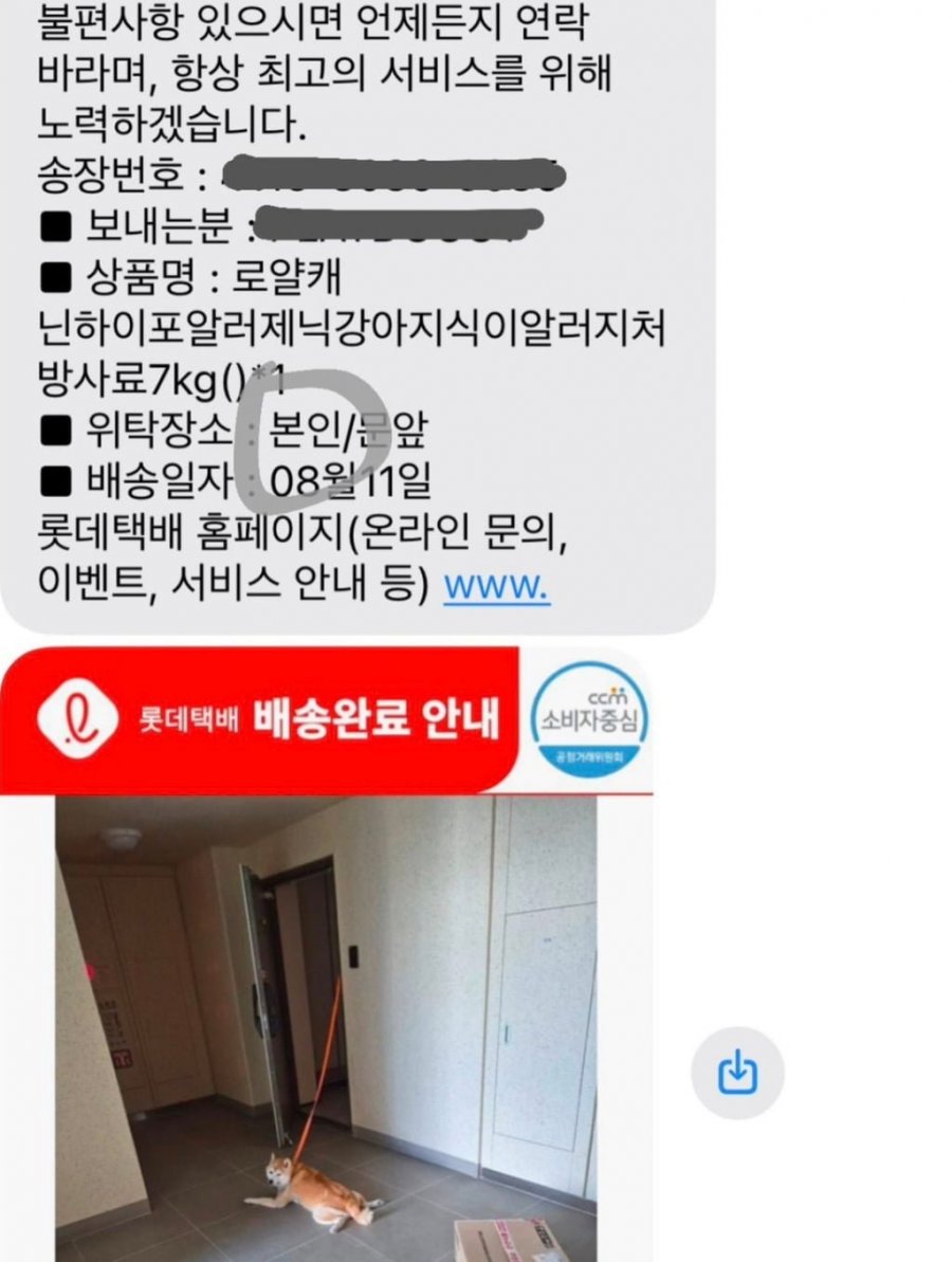 강아지 밥을 주문했는데 진짜로 강아지한테 배송해주고 가심 2