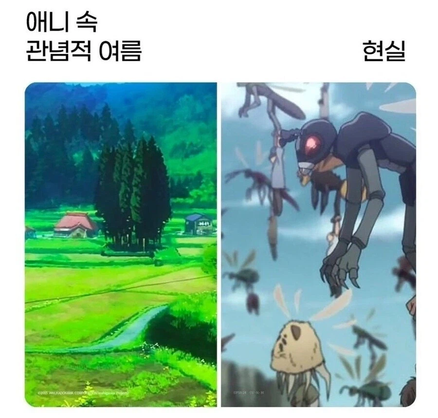 애니 속 관념적 여름 VS 현실.jpg 2