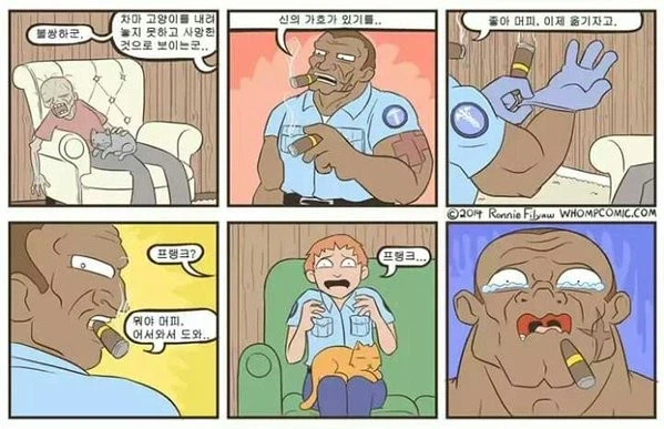 캣맘, 캣대디 문제는 이거라고 생각함