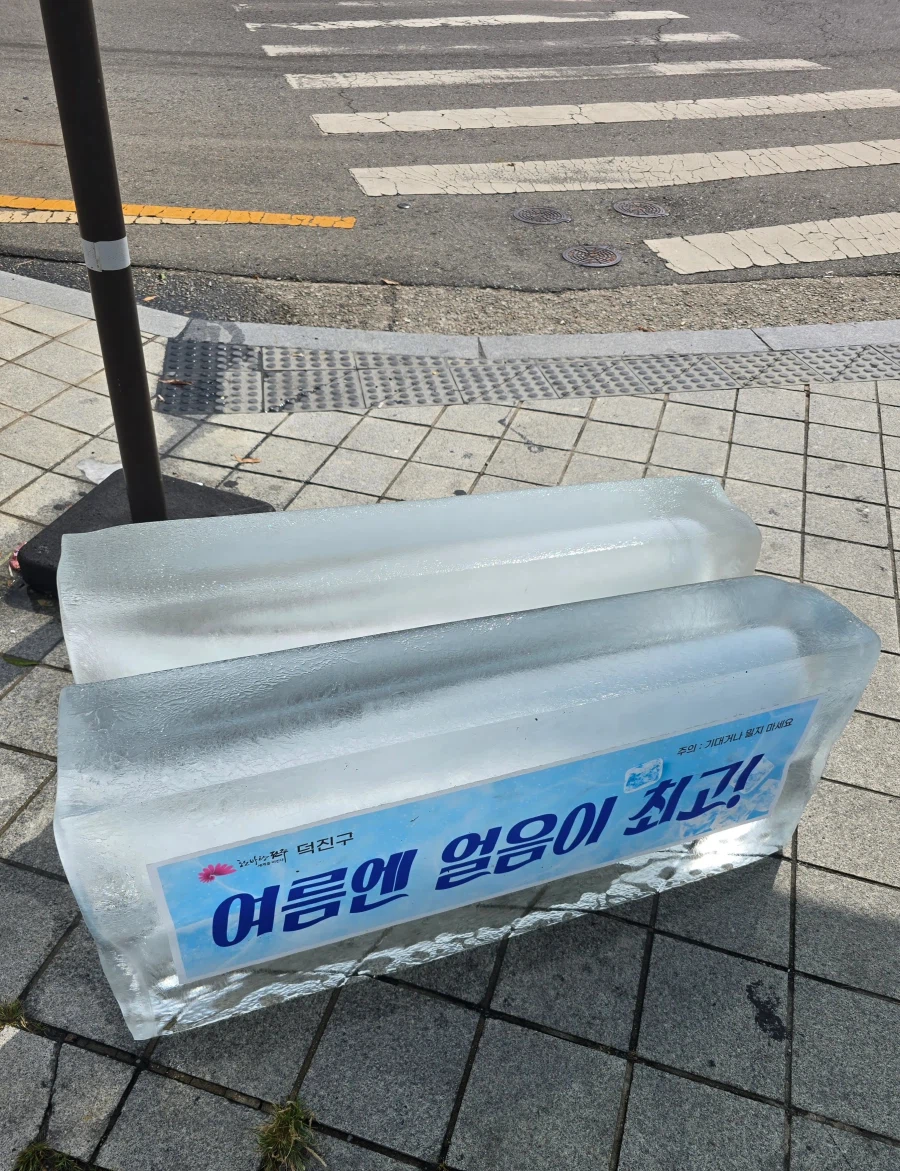 덕진구에 테토같은 폭염 대책