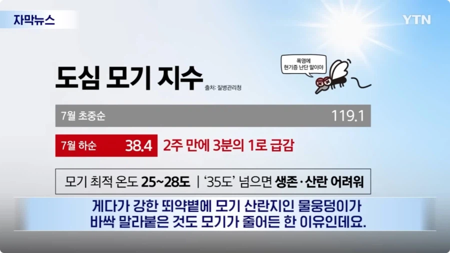 모기 근황.jpg 8