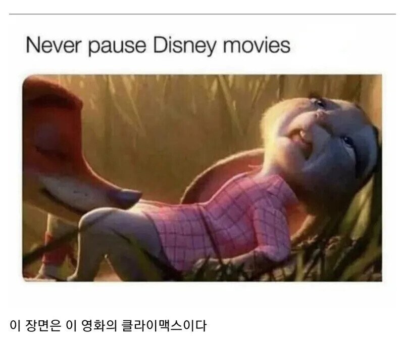여러분 !! 제가 음해 하나 없이 주토피아를 죶토피아로 만들어 보겠습니다 !!!