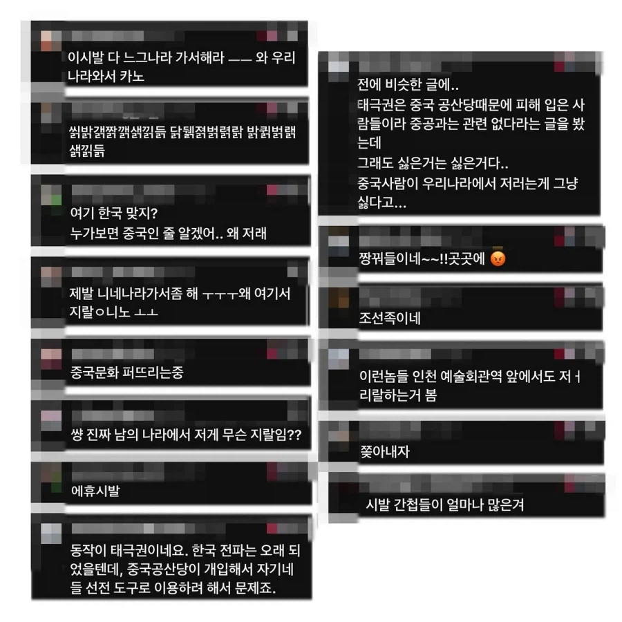 중국인으로 몰린 태극권 모임.manwha 11