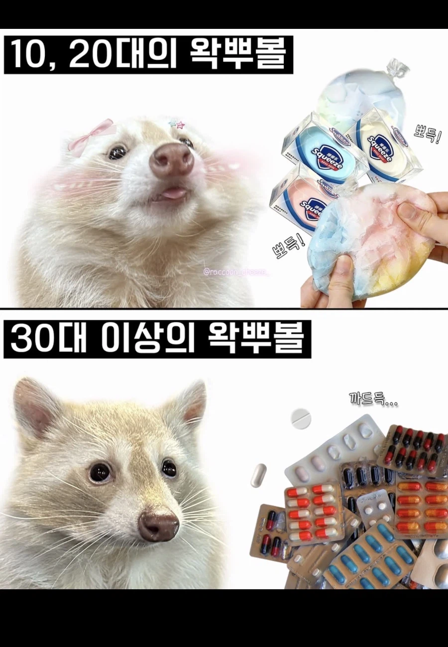 1,20대 왁뿌 30대 이상 왁뿌