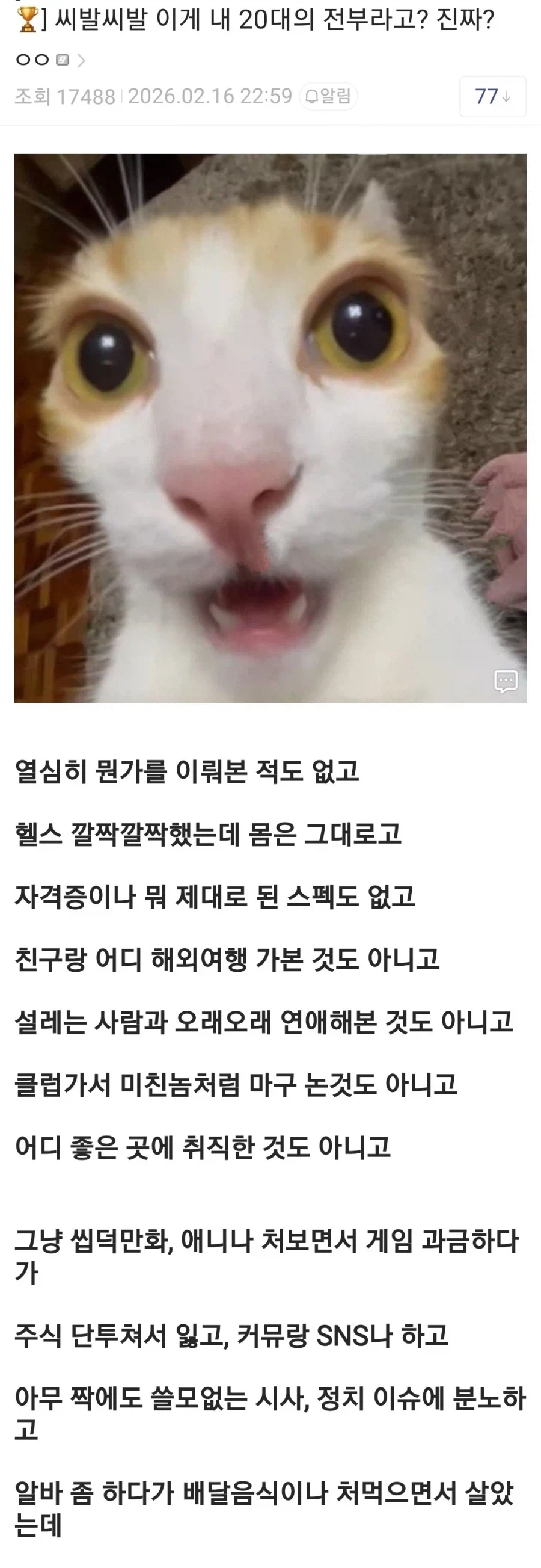 이게 내 20대의 전부라고?