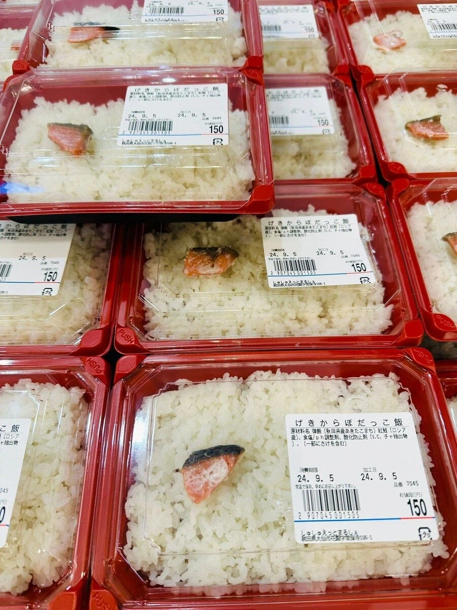 일본 150엔 연어 도시락