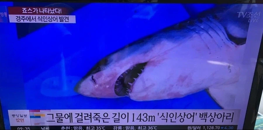 대한민국 동해안이 위험한 이유