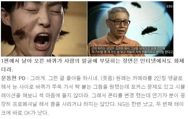 EBS가 만들었던 전설적인 다큐멘터리.JPG