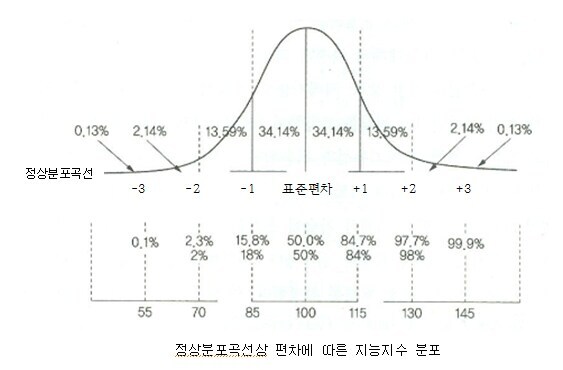 경계선 지능이 많은 이유 2