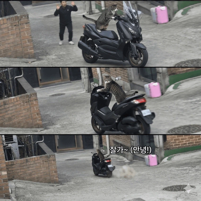 배달갔다 온 사이에 오토바이 도난당했습니다....jpg 2