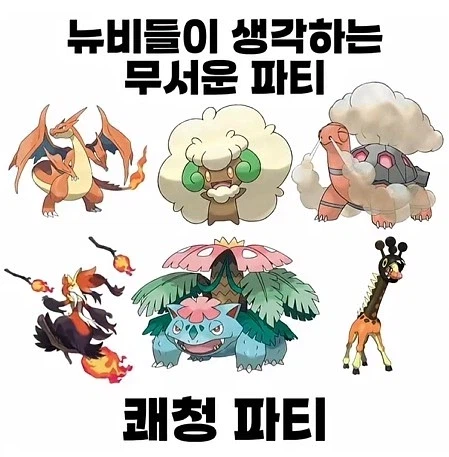 포켓몬배틀에서 만나면 무서운 조합