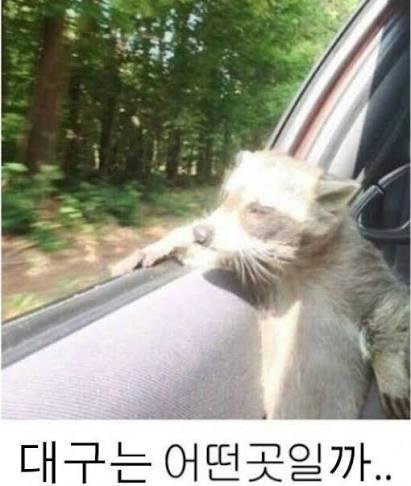 서문시장 오뎅집 빌런 3