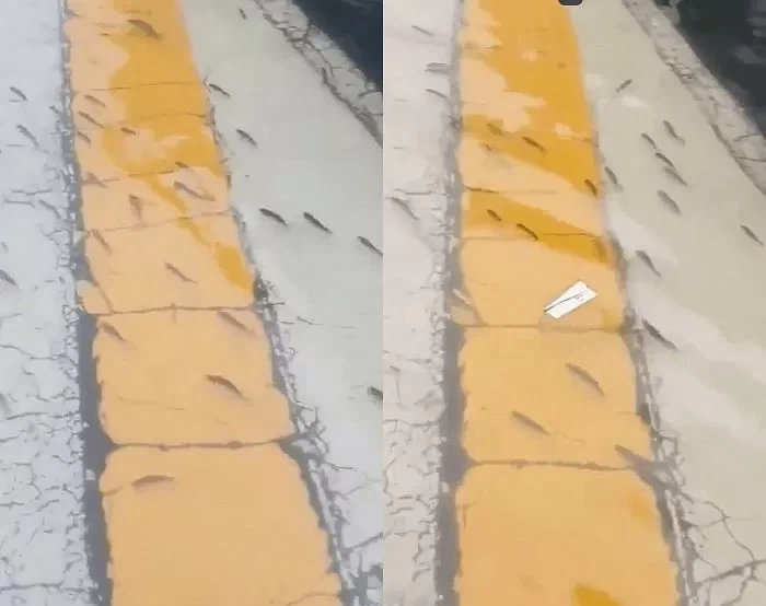 충남보령 근황