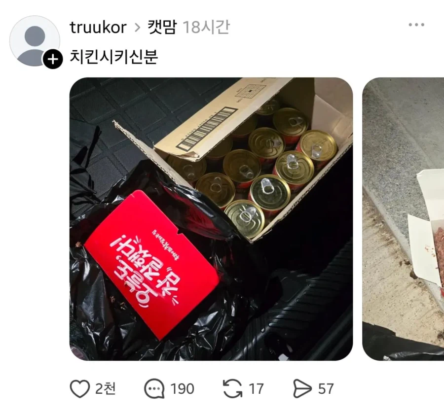 임자 제대로 만난 캣맘.jpg 6