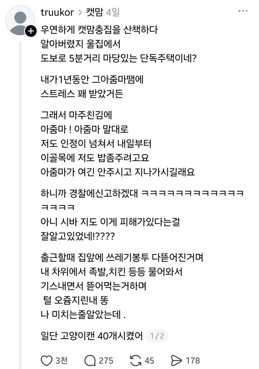 임자 제대로 만난 캣맘.jpg