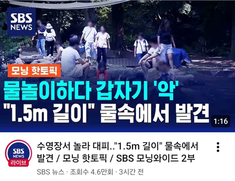물놀이하다 "악" 에휴 또 누가 안전수칙 안지켰길래