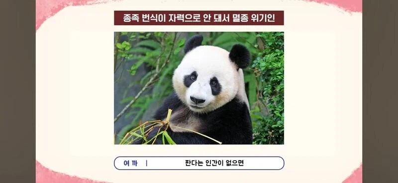 편견이 너무 없는 스트리머