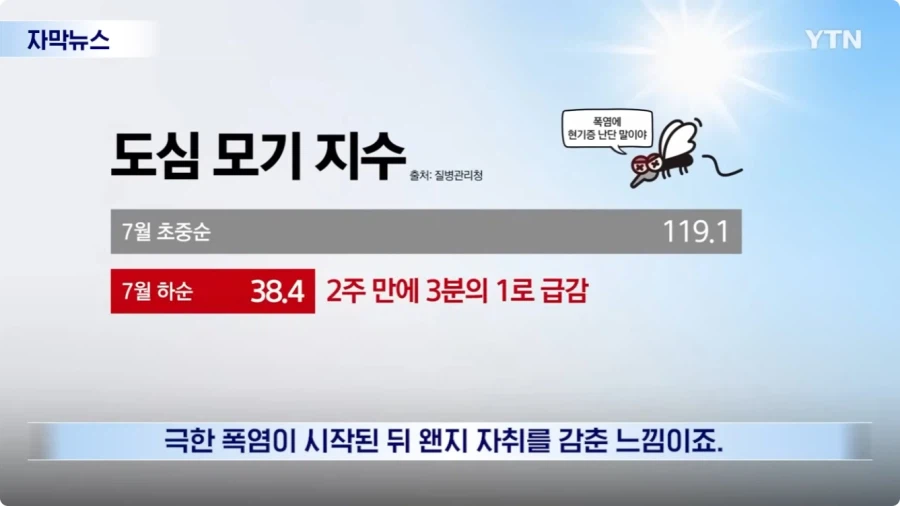 모기 근황.jpg 5