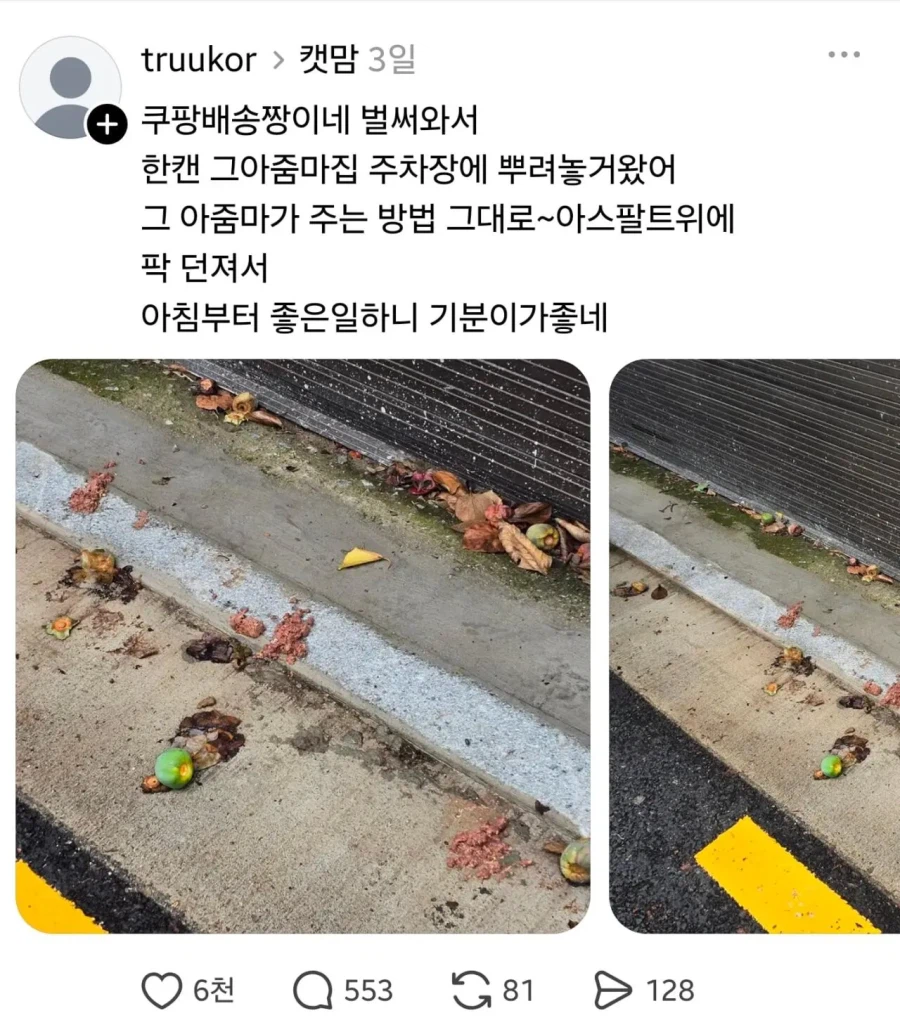 임자 제대로 만난 캣맘.jpg 2
