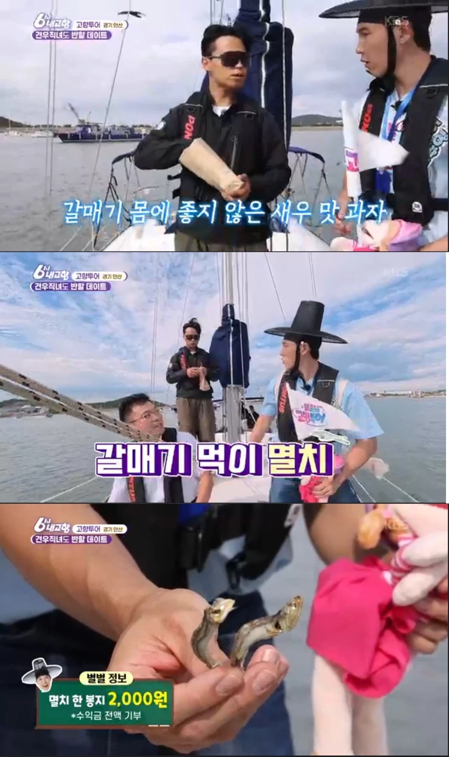 요즘 갈매기 먹이주기 체험 특징