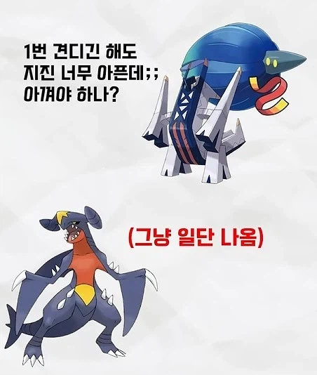 의외로 포켓몬배틀에서 개근하는 포켓몬 2