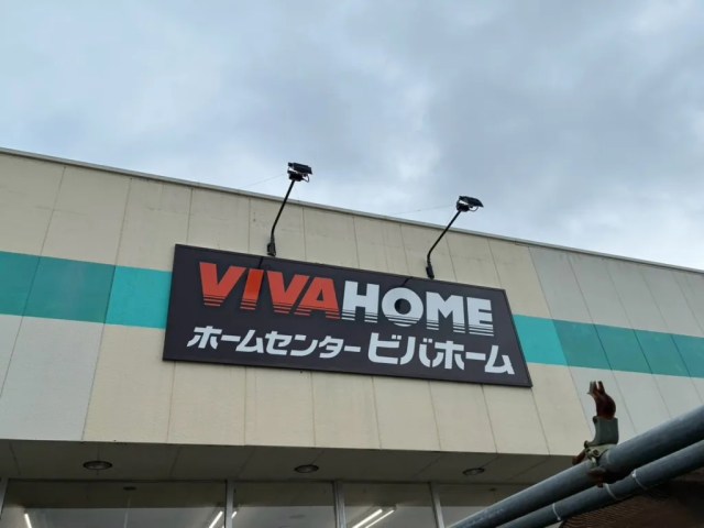 If anyone needs us, we’ll be in the cardboard Japanese snack house we just built [Photos] 4