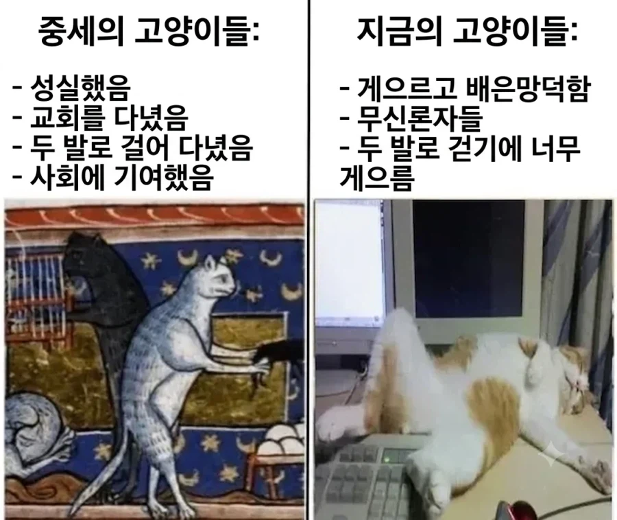 옛날 vs 요즘 고양이들 차이...